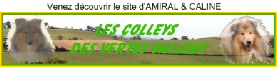 wp0f28cdf7.png