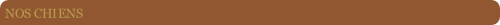 wp113f8b0e.png