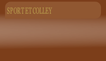 wp1e8591d2.png