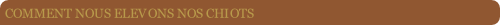 wp6aec6be7.png