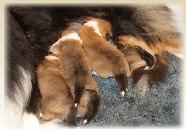 wpb2cacb39_0f.jpg