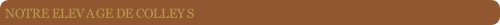 wpb70337cc.png