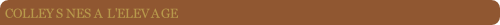 wpe77827b3.png